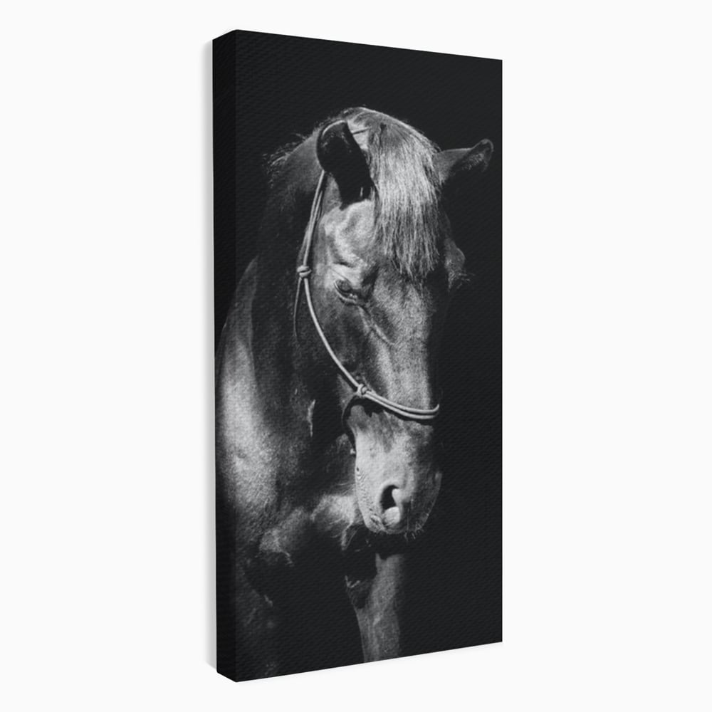 Tablou canvas cu tablou canvas cu un cal negru, fara rama, pe sasiu de lemn